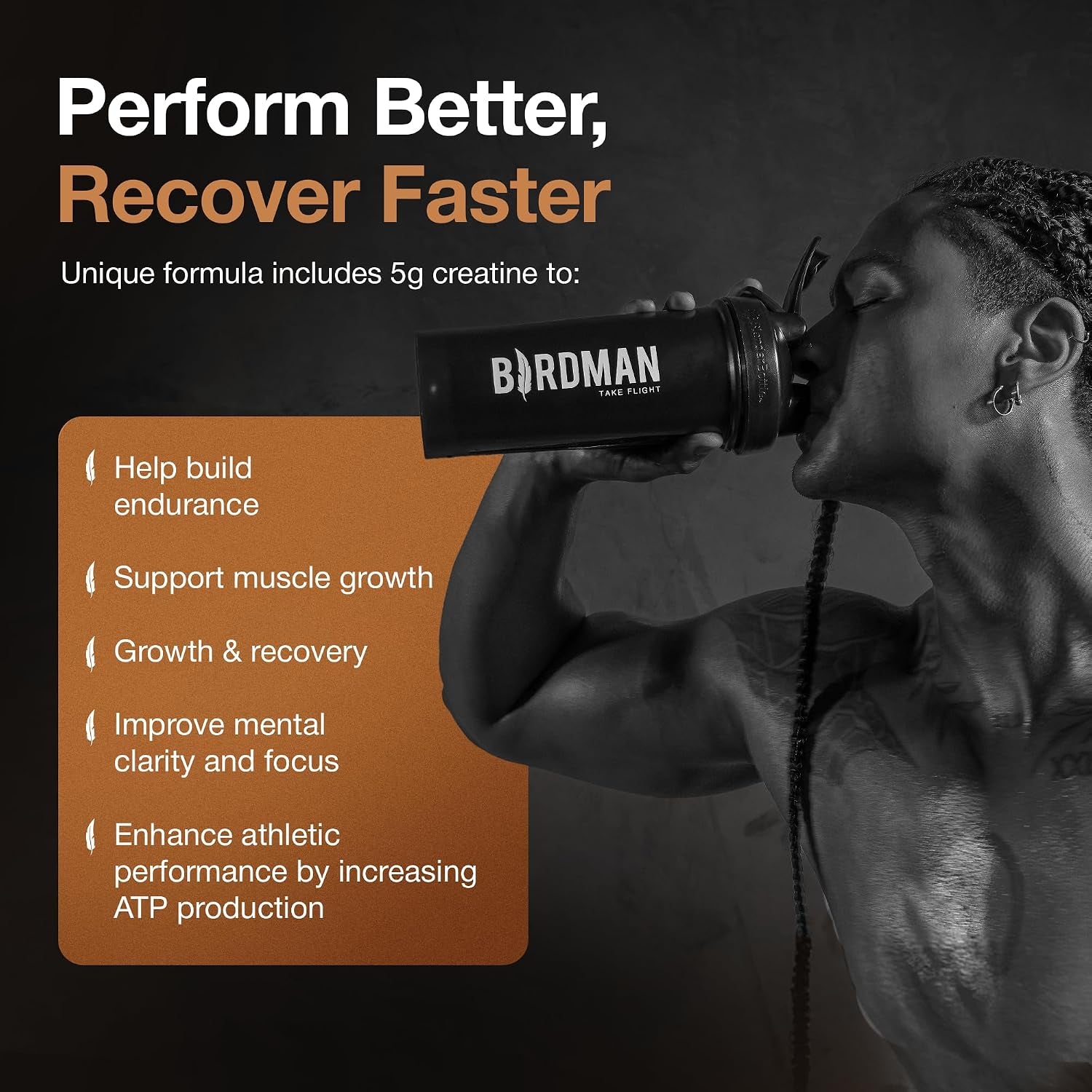 Falcon Performance Vegan Protein Powder, 31G Protein, 5G Creatine, 5G BCAA, Probiotics, Electrolytes, Pre Workout, Low Carb, Sugar Free & Dairy Free, Plant Based Chocolate Protein -19 Servings